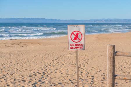 No Dogs Allowed protected sign on the beach, California Central Coast