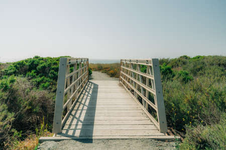 Rural scenic landscape. Wooden boardwalk leading  to the beachの写真素材