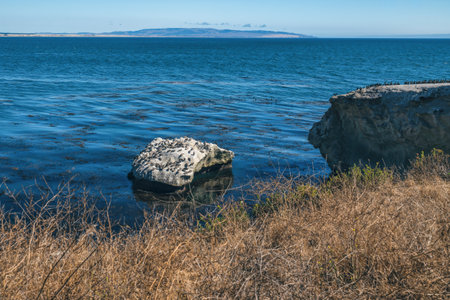 Rocks in the ocean and flock of birds. Pacific Coast, Californiaの写真素材