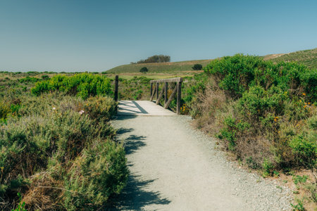 Rural landscape, road through the wilderness area, and wooden boardwalk leading to the beach. Montana de Oro State Park, Californiaの写真素材