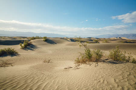 Mesquite Flat Sand Dunes in Death Valley National Park, native plants, and beautiful cloudy sky on...