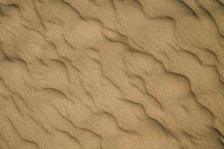 Sand on the beach abstract background, rippled pattern, view from aboveの写真素材
