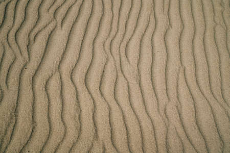 Light brown sand texture background, windy day on the beach, pattern, abstract, view from aboveの写真素材