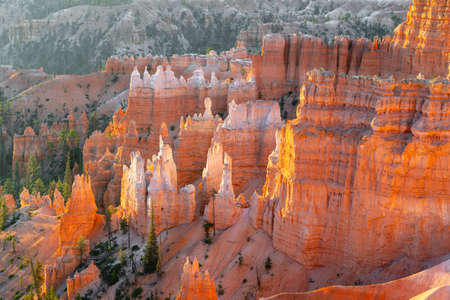 Bryce Canyon National Park, Utah. Red-orange-pink sandstone spires sculpted by the forces of nature, filled with morning lightの写真素材