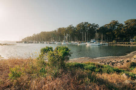 Morro Bay, California, USA - May 27, 2021 Yachts moored at marina harbor, Morro Bay State Park, California Central Coastのeditorial素材
