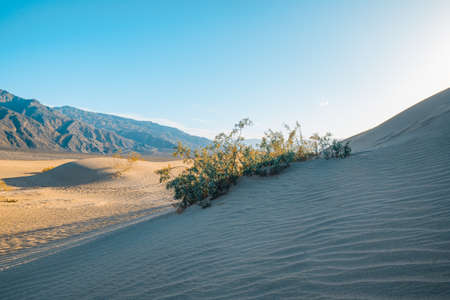 Sand dunes landscape, Death Valley National Park, Californiaの写真素材