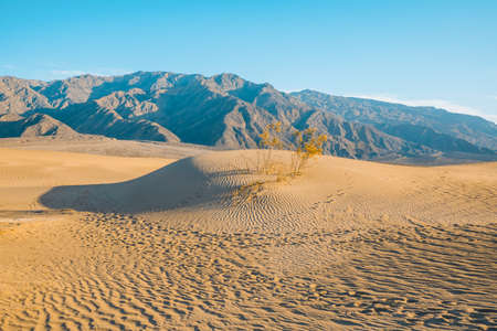 Death Valley National Park sand dunes.の写真素材