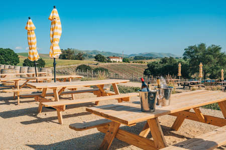 Wine tasting. Vineyard and Winery in San Luis Obispo County, California Central Coastの写真素材