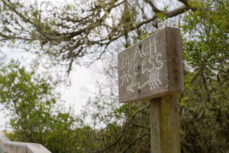 Beach access sign with green trees and clear sky on backgroundの写真素材