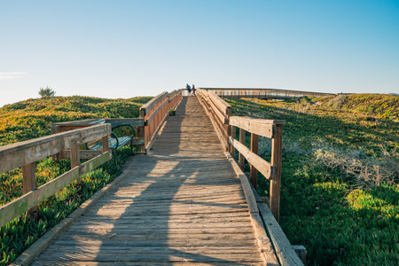 Wooden boardwalk through several diverse natural habitats for viewing flora and fauna, Oceano, California Central Coastの写真素材