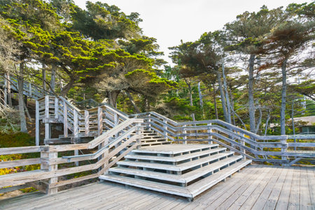 Wooden stairs leading to a scenic view point, Monterey Bay, California Central Coast