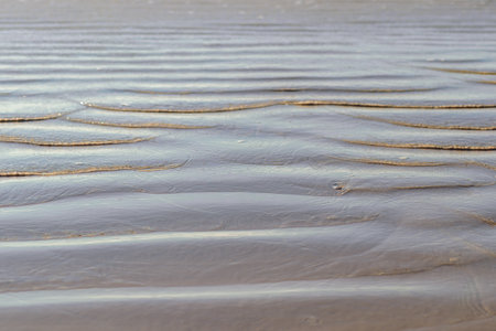 Abstract seascape background. Sea waves at low tide, relaxation, vacations concept, copy space for...