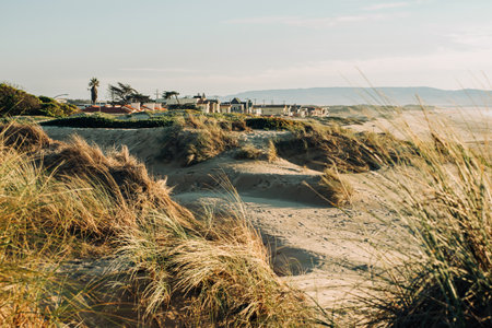 Sand dunes with native plants on the beach, and silhouettes of houses that are set amid coastal sand dunes, California landscapeの写真素材