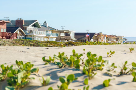 Houses that are set amid coastal sand dunes. Beautiful houses with ocean views in a small beach town...