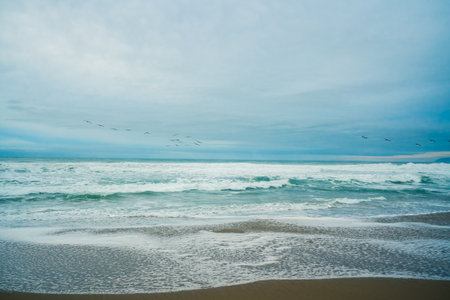 Stormy Pacific ocean, and cloudy sky with silhouette of flying birds in the horizon. California...