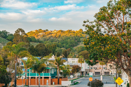 Avila Beach, California, USA - February 2, 2023.  Beautiful view of Avila Beach at sunset. Green hills with typical California houses, and beautiful cloudy sky in the backgroundのeditorial素材