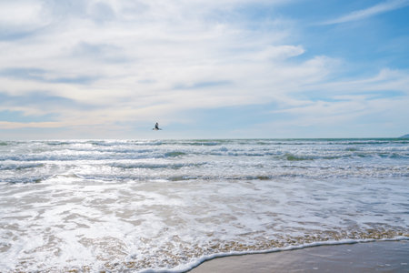Blue sea waves and bird flying over the Pacific Ocean, beautiful smooth cloudy sky in the background, California seascapeの写真素材