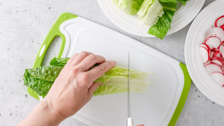 Spring salad recipe. Mixing lettuce, spinach, and radish. Close-up preparation process, recipe, view from aboveの写真素材