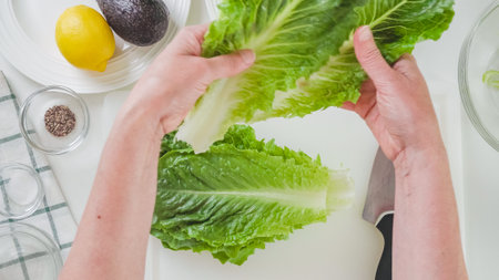 Leaves of fresh green lettuce close-up on white background, flat lay, woman hands. Lettuce salad recipeの写真素材