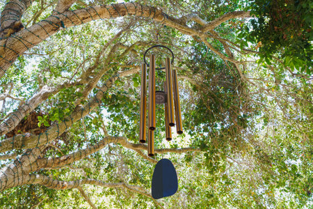 The singing tree. Wind chime on a tree, view from below