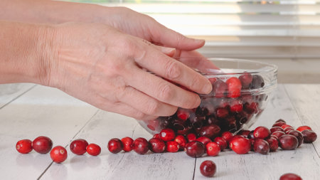 Fresh ripe organic cranberries on the kitchen table. A woman scattered berries on a table