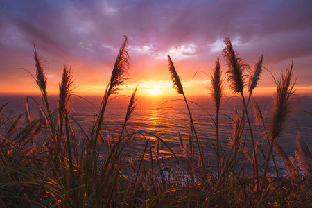Pink sunset over the sea, cloudy sky, quiet water, and sun setting down the horizon, Californiaの写真素材