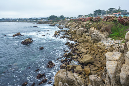 Monterey Bay. Beautiful rocky beach, and beautiful Pacific ocean in an overcast dayの写真素材