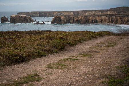 Hiking trail along the coastal shore at Point Buchon Overlook in Montana de Oro State park, California Coastlineの写真素材