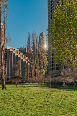 Urban park with fresh green grass and leafy trees, with modern skyscrapers in the background and sunlight peeking through.の写真素材