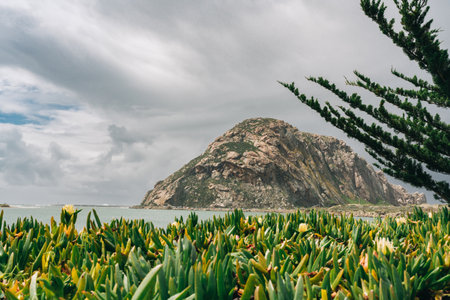 Morro Rock, a volcanic plug in Morro bay, on the Pacific Coast at the entrance to Morro Bay harbor, california Central coastの写真素材