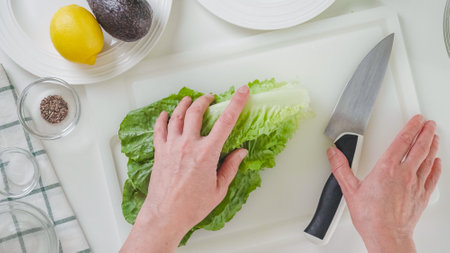 Woman making Romaine lettuce celery salad. Leaves of fresh green lettuce close-up on a white cutting board, flat layの写真素材