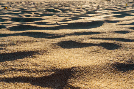 Sunlit sand dunes create intricate shadow patterns on the beach.