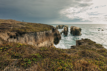 A spectacular view of wildlife, ocean, rocks and wildflowers,  Point Buchon Overlook at Montana de Oro State Park, California central Coastの写真素材