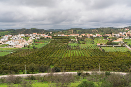 Verdant hills with a mix of modern and traditional buildings in a Portuguese town. Algarveの写真素材