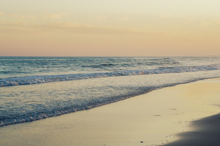 Soft evening light reflects on the ocean waves as they meet the beach.の写真素材