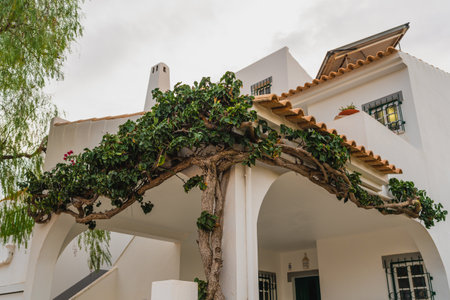 Vine-covered archway adding natural charm to a Mediterranean-style white home.の写真素材