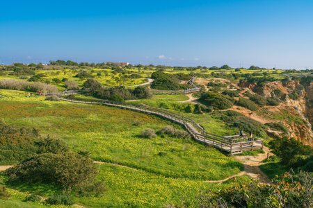 Wooden boardwalk along the cliffs in Lagos, Algarve, Portugalの写真素材