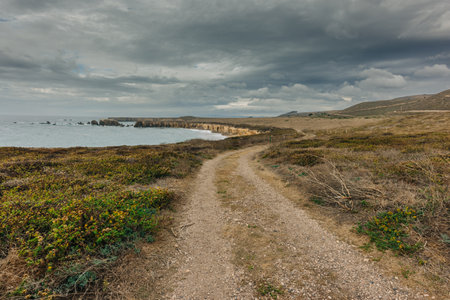A spectacular view of wildlife, ocean, rocks and wildflowers, Point Buchon Overlook at Montana de Oro State Park, California central Coastの写真素材