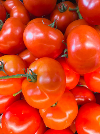 Fresh tomatoes stacked neatly in a container.の写真素材
