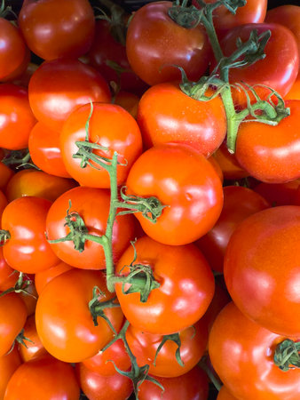 Juicy tomatoes neatly placed in a container.の写真素材