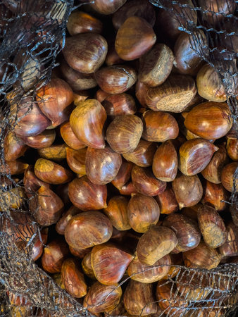 Shiny chestnuts displayed beautifully in the mall.の写真素材