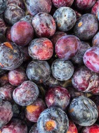 Close-up Juicy ripe plums showcasing their rich purple hues and natural imperfections. a pile of ripe purple plums with a mix of vibrant and matte textures.の写真素材