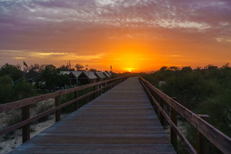 Stunning sunset view from a wooden boardwalk surrounded by nature.の写真素材