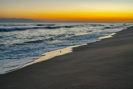 Gentle waves wash onto the dark sandy beach under a vibrant yellow and orange sunset sky.の写真素材