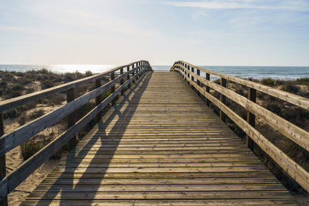 Wooden boardwalk leading to a sandy beach with the ocean visible in the background.の写真素材