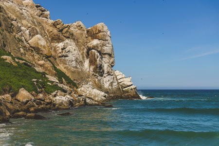 Rocky cliff with birds perched along the rugged coastline against a clear blue sky. Morro Bay, Californiaの写真素材