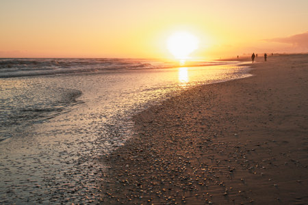 Golden sunset reflecting on a tranquil beach with scattered seashells and silhouettes of people walking along the shoreline.の写真素材