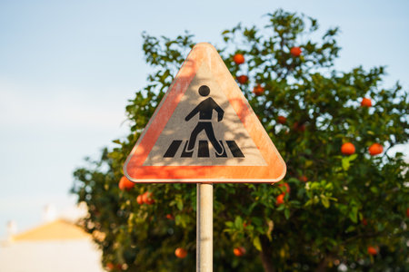 Pedestrian crossing sign with a vibrant tree in the background.の写真素材