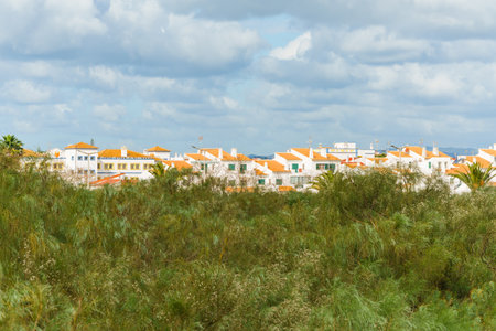 Cluster of white houses with orange rooftops peeks over dense green vegetation.の写真素材