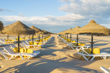 Lounge chairs and straw umbrellas at the beach at sunsetの写真素材